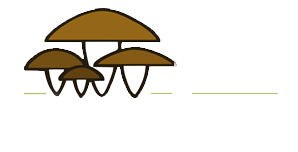 logotipo-micotec-blanco