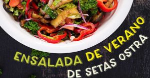 Ensalada de Setas Ostra, Tomates Frescos y Berenjena - Micotec